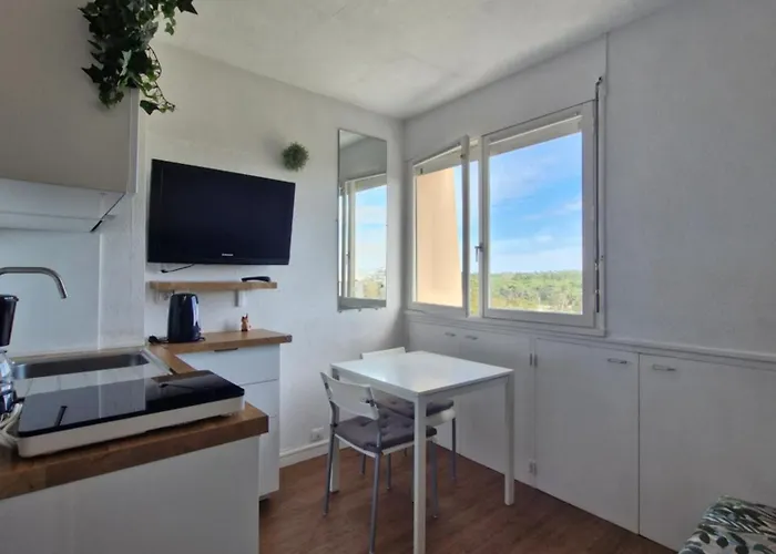 Studio - Marina 4 - 17 Allee Des Pinons - 5-1