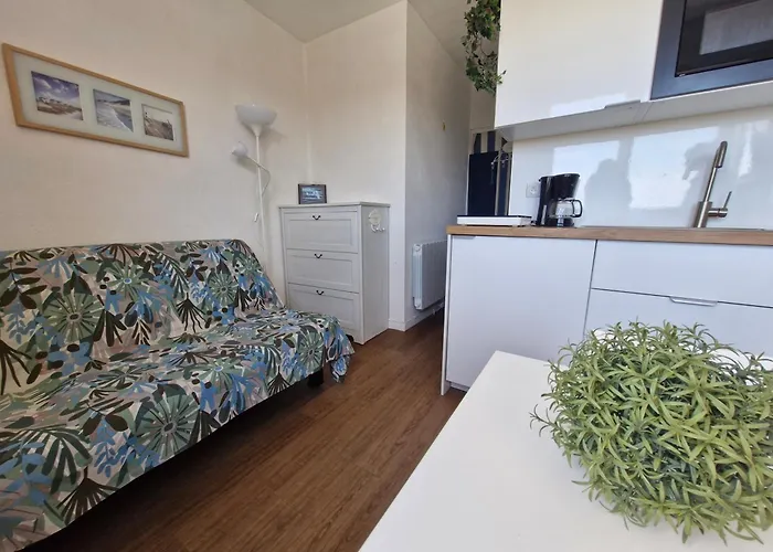Studio - Marina 4 - 17 Allee Des Pinons - 5-1
